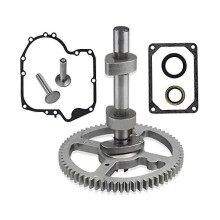 2024 84005207 793880 Kit di sostituzione albero a camme - Per Brigg & Stratton 793583 792681 791942 795102 Brigg