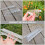 2Stk Gemüseform Transparent Für Garten Und Obstanbau 2