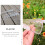 2Stk Gemüseform Transparent Für Garten Und Obstanbau 4