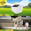 Outdoor Solar Light Motion Sensor Solar Powered Outdoor Wall Lightwhite 4