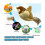 Electronic Interactive Flying Bird Cat Toy Hanging Pet Flapping Wings Sparrow 3