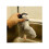 Electronic Interactive Flying Bird Cat Toy Hanging Pet Flapping Wings Sparrow 4