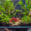 Dekorative Rote Tank Aus Robustem Kunststoff 7