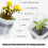10pack Multipurpose Hydroponic Nursery Pot Elevated Seedling 5
