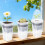 10pack Multipurpose Hydroponic Nursery Pot Elevated Seedling 6