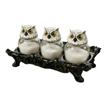 Stylish Glass Seasoning Jars Set Enhances Kitchen-Owl 3 pack