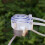 Miniature Plastic Peristaltic Pump 6V-12V High Performances 4