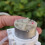 Miniature Plastic Peristaltic Pump 6V-12V High Performances 6