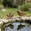2 Stück exquisite dekorative Ornamente Metallvögel dekorative 7