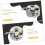 9pcs Sewing Machine Bobbin Case Set, Metal Silver Bobbin Holder, Lightweight Easy Storage 5