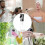 spray bottle, continuous fine mist empty spray bottle, spray bottle fine mist sprayer 5