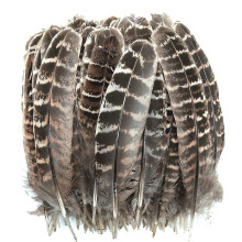 100 penas de faisão de cor natural, 12-18 cm, com manchas, para decoração de chapéus, roupas, máscaras, festas e acessórios.