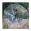 Transparent Windproof Folding Umbrella Automatic Open 3 Fold Compact Clear Rain Gear for Travel 5