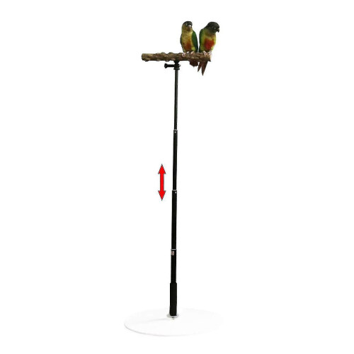 T Stand Parrot Training Playing With Base Cage Bird Perch Standing For Finch 1