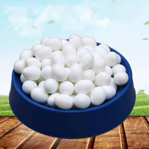 50pcs Plastic For Pigeon Eggs Artificial False Eggs Hatching Supplies -ys