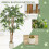 Homcom Ficus Artificial Verde 65 x 65 x 150 cm 2