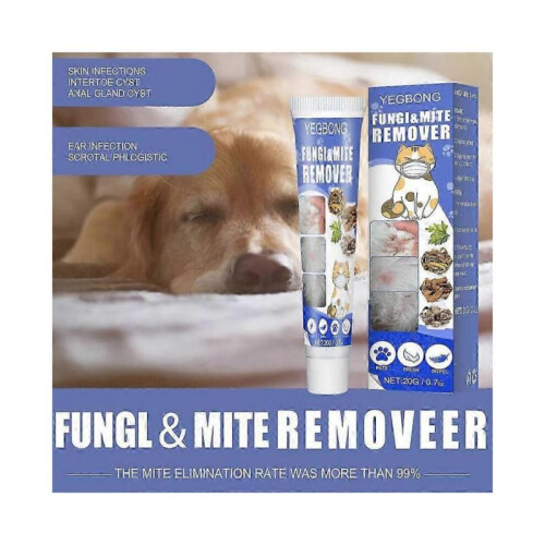 ringworm treatment for pets with anti-itch cream