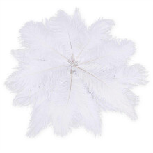 20 stuks 25-30 cm witte natuurlijke struisvogelveren voor feestelijke decoratie