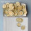 10Pcs Non Stick Silicone Dehydrator Sheets 37x29cm for Fruit Dryer 4