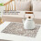 2 Pack Absorbent Machine Washable Dish Drying Mat for Kitchen Counter 5