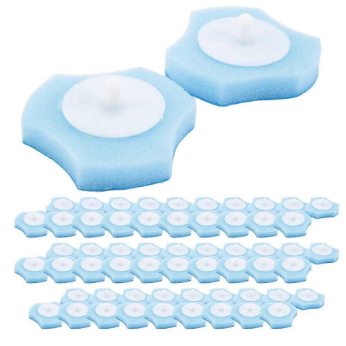 Toilet Cleaning System Fresh Brush with Flushable Refills 2
