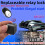 12V Wireless Immobilizer Car Engine Lock, Intelligent Security Anti-Theft System with Replaceable Relay 2