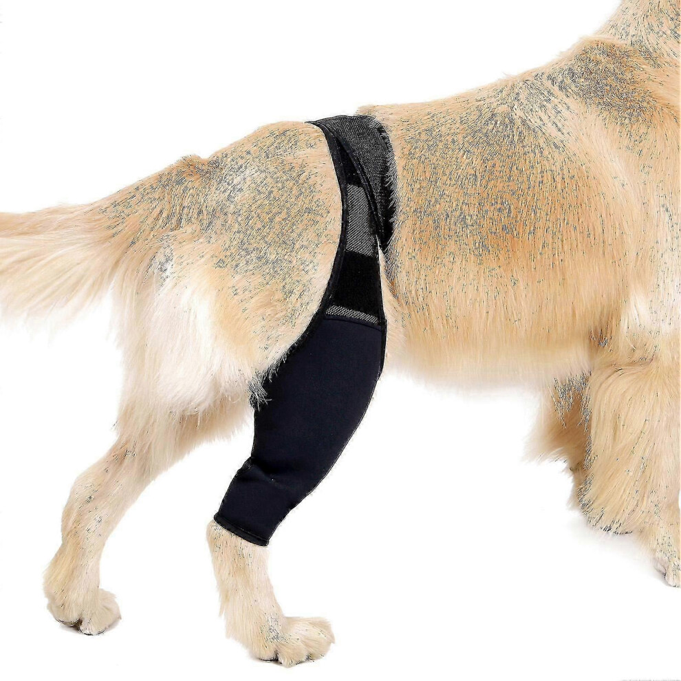 Black (, Medium) Dog Leg Support Brace For Injury Pain Relief