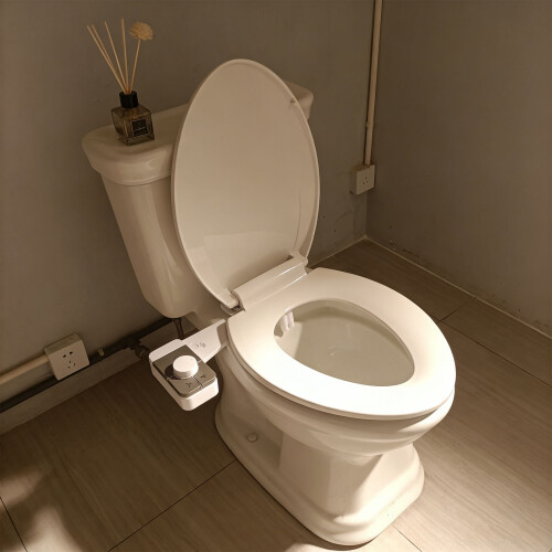 Simple Installation Cleansing Sprayer With Two sprinkle picks 1