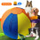 Vessie de balle de troupeau interactive pour chiens de-25cm 3