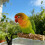 Cage Mounted Clip On Bird Perch Stand With Texture Wood-2 5