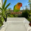 Cage Mounted Clip On Bird Perch Stand With Texture Wood-2 6