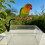 Cage Mounted Clip On Bird Perch Stand With Texture Wood-2 7