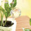 Irrigation balls - 8 pcs. Gardlov 21043 7