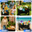 Foldable Cart, Adjustable Outdoor Garden Utility Wagon 7