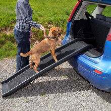 Actiaspet Folding Black Portable Dog Access Ramp