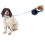 Retractable Dog Training Lead 5m Extendable Blue 5