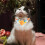 1Pc Adjustable Woolen Yarn Cat Collar Cute Knitted Pet Neck Decor 7