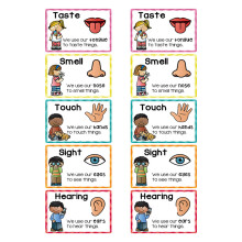 2Sets Pädagogische Karten Kinder Lernposter Zuhause