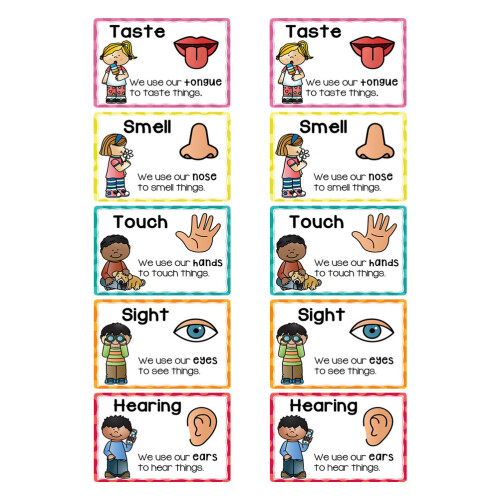 2Sets Pädagogische Karten Kinder Lernposter Zuhause