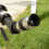 PL32 32mm Plossl Eyepiece 1.25in Green-Coated 7