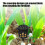 10/20/50/100Pcs Plastic Mesh Pot For Hydroponics Indoor-10 5