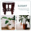 Stand in Legno Marrone Per Acquario Artigianale Casa 4