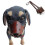 (Brown)Dog Muzzle Pu Leather Anti-bite And Anti-ingestion Control For Dog 2