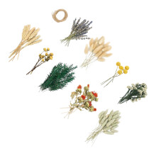 Verschiedene getrocknete Blumen mit Stiel, ideal zum-Grün