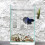 2Pz Agganci in ABS Per Acquario Piante E Zona Basking 7