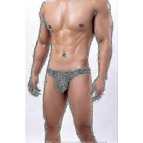 (L,Black snake pattern)2026 Hot!! Men's Leopard Print Thong G-string Underwear Tw 1