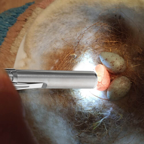 Silberne Handliche LED Eierkerzenlampe Aus , Brutzubehör 2