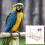 Tasse d'alimentation pour oiseaux, perche, échelle d'escalade, 2