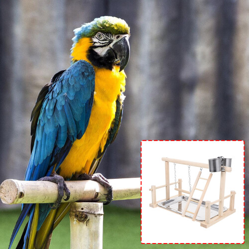 Tasse d'alimentation pour oiseaux, perche, échelle d'escalade, 1