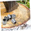 6Pcs Iron Axe Handle Wedges Set for Secure Reinforcement and Easy Hammer Installation 4
